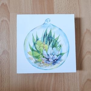 Succulent wall art box frame